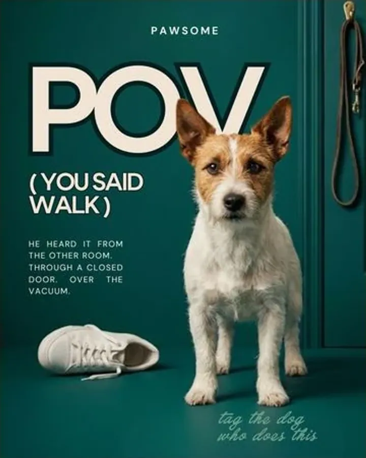 Pet Brand Templates — Canva Instagram post layout 3
